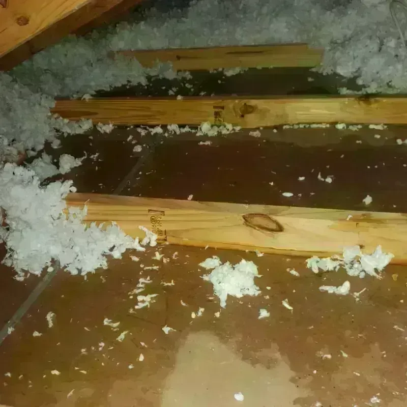 Attic Water Damage in Gates County, NC