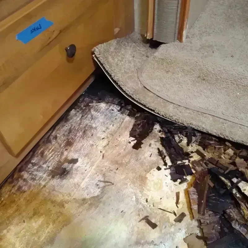 Wood Floor Water Damage in Gates County, NC